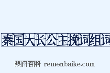 秦国大长公主挽词组词是什么意思的图片